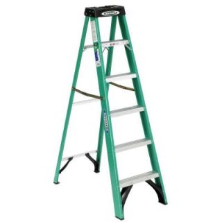 Werner 6 ft. Fiberglass Step Ladder with 225 lb. Load Capacity and Paint Cup Liner FS206 AC27