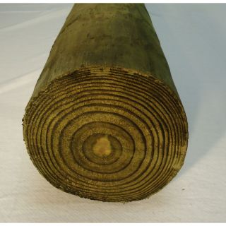 5 in x 5 in x 8 ft Round Pressure Treated Wood Fence Post