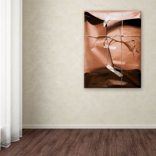 Wrap by Roderick Stevens Painting Print on Wrapped Canvas
