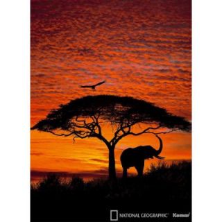 National Geographic 106 in. x 76 in. African Sunset Wall Mural 4 501
