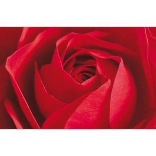 Brewster Home Fashions Ideal Decor Limportant Cest La Rose Wall Mural