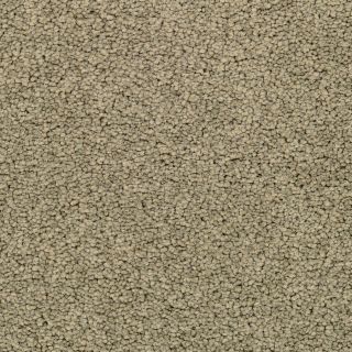 STAINMASTER Active Family Astral Lantana Textured Indoor Carpet