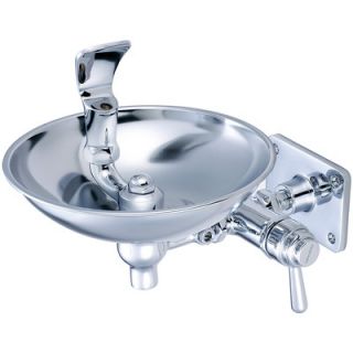 Central Brass Self Closing Drinking Faucet with Stainless Steel Bowl