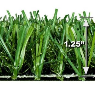 Turf Evolutions TruGrass PetsTurf Artificial Grass Synthetic Lawn Turf, Sold by 5 ft. Wide x 10 ft. Unbound Remnant TGPET50
