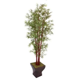 Laura Ashley 102 in. Tall Harvest Bamboo Tree in 17 in. Fiberstone Planter VHX105203