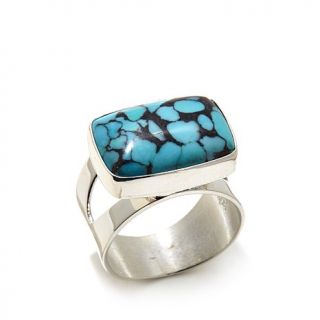 Jay King Spider Web Turquoise Sterling Silver Ring   8044937