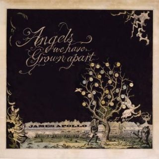 Angels We Have Grown Apart (Vinyl)