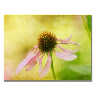 Lois Bryan One Petal at a Time II Canvas Art