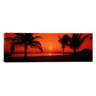 iCanvas Panoramic Lydgate Park, Kauai, Hawaii Photographic Print on Canvas