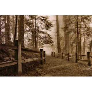 Down the Misty Path Painting Print on Wrapped Canvas by Marmont Hill