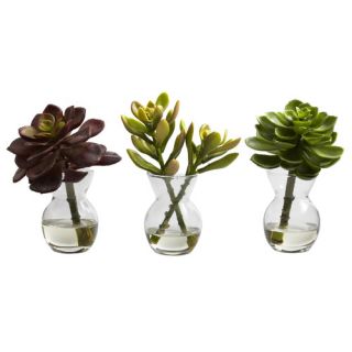 Nearly Natural Nearly Natural Succulent Arrangements Desk Top Plant in