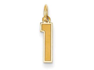 14K Yellow Gold  Small Satin Number 1 Charm