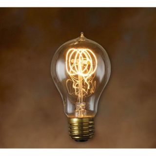 Bulbrite Industries Nostalgic Edison 25W 120 Volt Incandescent Light Bulb (Set of 2)