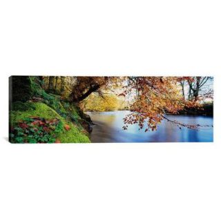 iCanvas Panoramic Trees Along a River, River Dart, Bickleigh, Mid Devon, Devon, England Photographic Print on Canvas