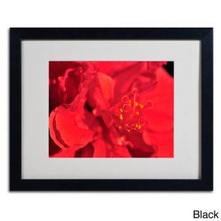 Kurt Shaffer Red Red Hibiscus Framed Matted Art