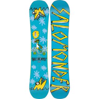 Salomon Snowboards Salomonder Snowboard