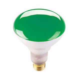 75W Green 120 Volt Halogen Light Bulb by Bulbrite Industries