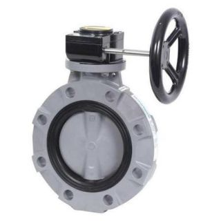 HAYWARD BYV14020A0NG000 Butterfly Valve, PVC/PP, Nitrile, 2in, Gear
