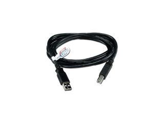 QVS CC2209C 06 6 ft. Black USBA USBB M/M Black Cable
