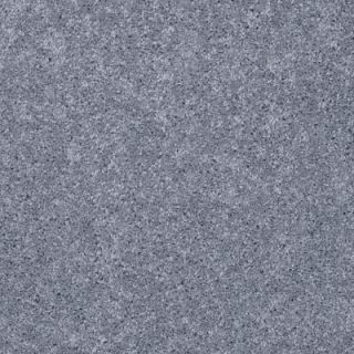 Clearwater I   Color Slate 12 ft. Carpet HDB0808500