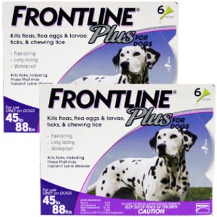 Frontline Plus  Flea & Tick for Dogs 45 88 lbs, 12 Month