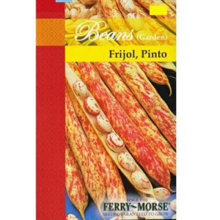Ferry Morse Garden Bean Pinto Seed 2145