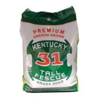 DLF International Seeds 5 lb. Kentucky 31 Tall Fescue Grass Seed HDK31005