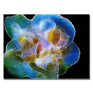 Trademark Fine Art Kathie McCurdy Big Blue Flower Canvas Art   Home