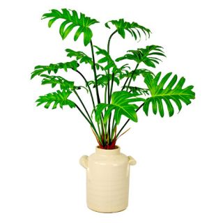 Philodendron in Planter by Creative Displays, Inc.