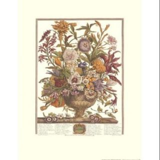 Twelve Months of Flowers, 1730September Poster Print by Robert Furber (17 x 22)