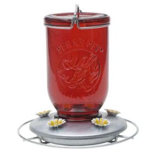 Perky Pet Red Mason Jar Glass Hummingbird Feeder 786