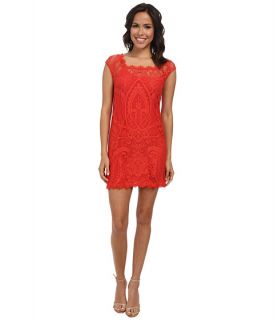 Nicole Miller Abby Placement Lace Dress