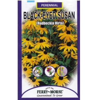 Ferry Morse Black Eyed Susan Seed 1017