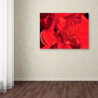 Trademark Fine Art   Kurt Shaffer Red Red Hibiscus Canvas Art