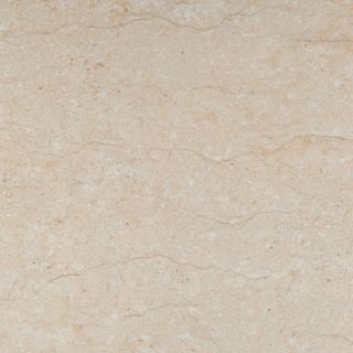 Emser Tile Park Avenue 32 x 32 Porcelain Tile in Marfil