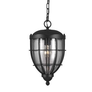 River North 1 Light Outdoor Hanging Pendant