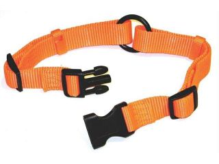 Hamilton Pet Company   Adj Saferite Dog Collar  Orange 1 X 18 26   FALS 18 26 OR