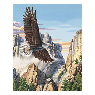Reeves Artist Collection Screaming Eagle Paint by Number   13128654