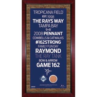 Tampa Bay Rays Subway Sign 16x32 Frame w/ auth Dirt from Tropicana