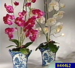 Chinese Porcelain Planter with Orchid —