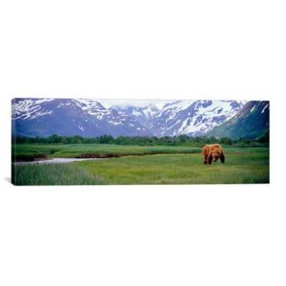 iCanvas Panoramic Katmai National Park, Kukak Bay, Alaska Photographic Print on Canvas