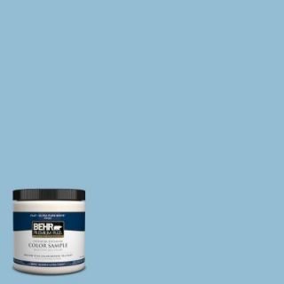 BEHR Premium Plus 8 oz. #M500 3 Blue Chalk Interior/Exterior Paint Sample PP10016
