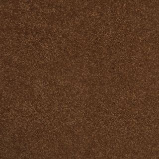 STAINMASTER TruSoft Best of Class Double Khaki Plush Indoor Carpet