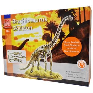 EDU Toys Brachiosaurus Skeleton   Toys & Games   Learning