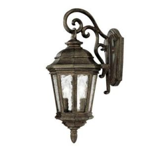 Acclaim Lighting Barrington Collection Wall Mount 2 Light Outdoor Black Coral Fixture  Discontinued 202BC