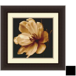 Amanti Art 17.84 in W x 17.84 in H Floral and Still Life Framed Art