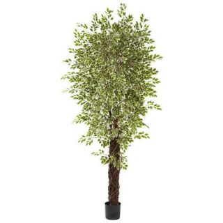 Nearly Natural Variegated Mini Ficus Tree in Pot