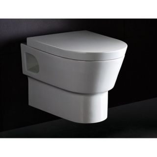EAGO Square Modern Dual Flush Elongated Toilet 1 Piece