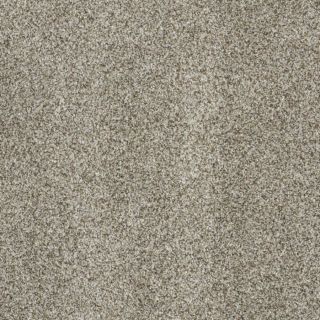 STAINMASTER TruSoft Private Oasis II Key West Textured Indoor Carpet