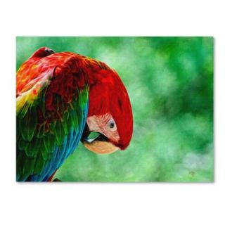 Trademark Fine Art 14 in. x 19 in. Colorful Macaw Canvas Art LBr0203 C1419GG